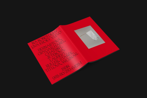 NA KONCI DUHY DVA KROKY VLEVO, 2019