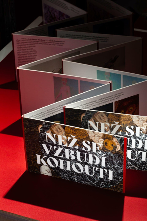 NEŽ SE VZBUDÍ KOHOUTI, 2021