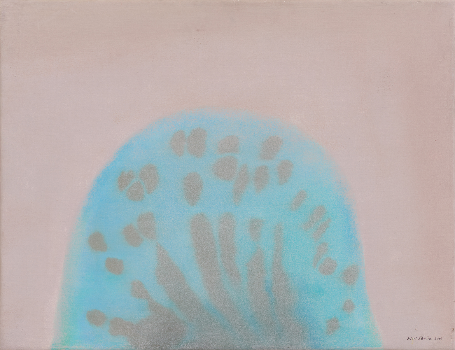 MILOŠ ŠEVČÍK - ROZPTYLOVÁNÍ, 2000–2005