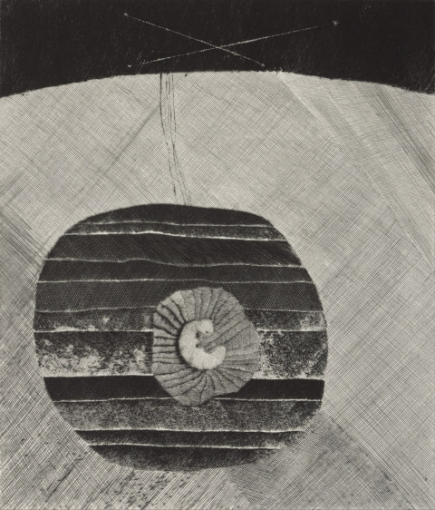 Jiří John - LARVA, 1968