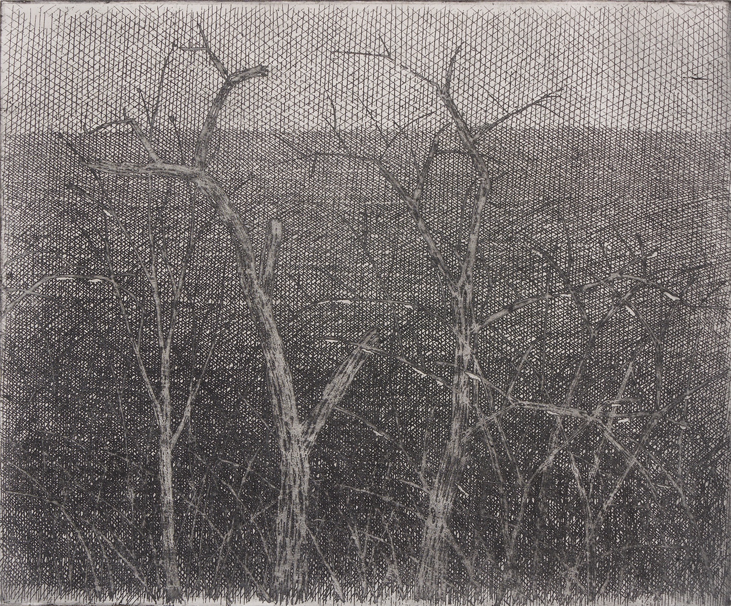 Marie Blabolilová - AKÁTY, 1982