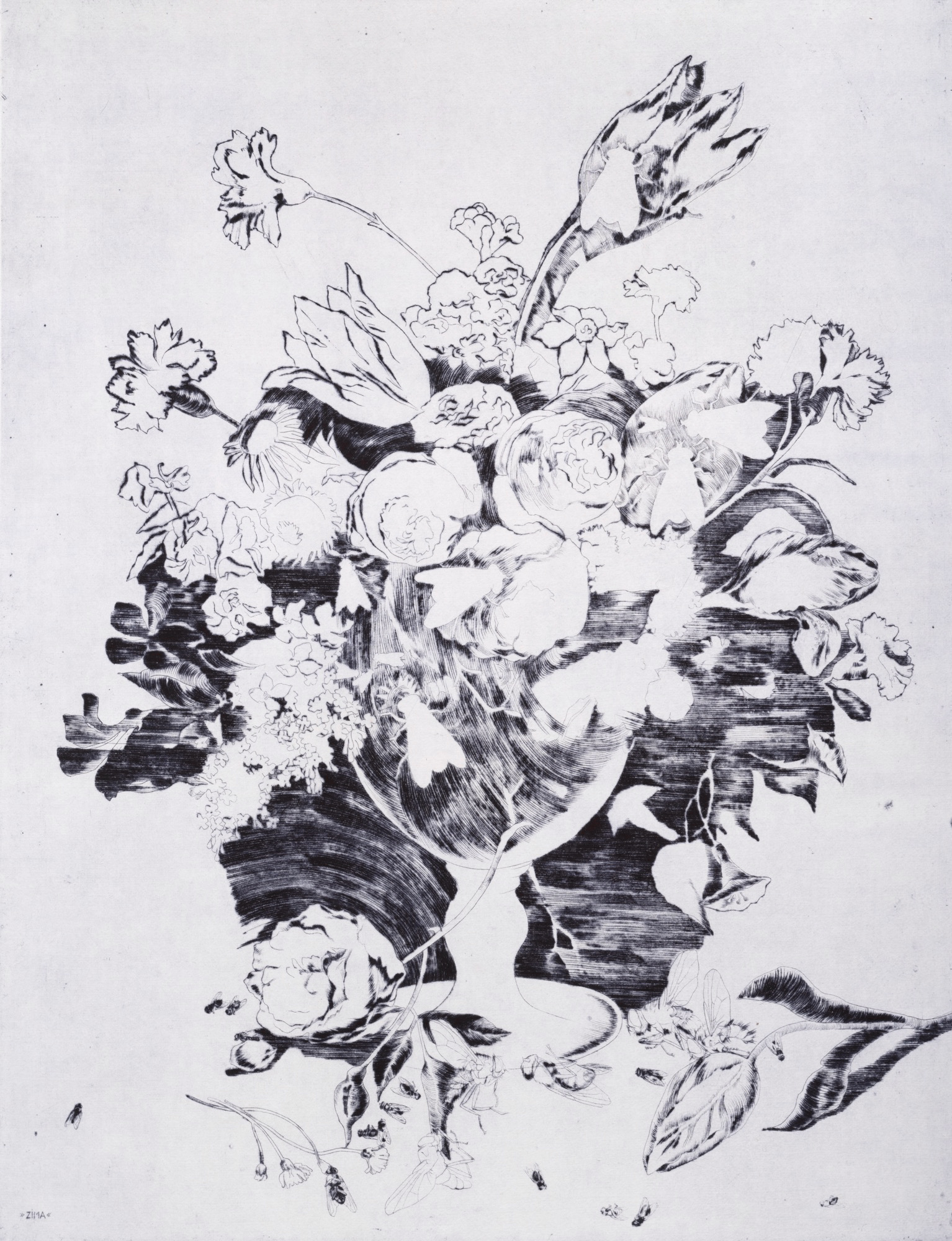 NADĚŽDA PLÍŠKOVÁ - ZIMA, 1975