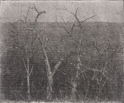 Marie Blabolilová - AKÁTY, 1982