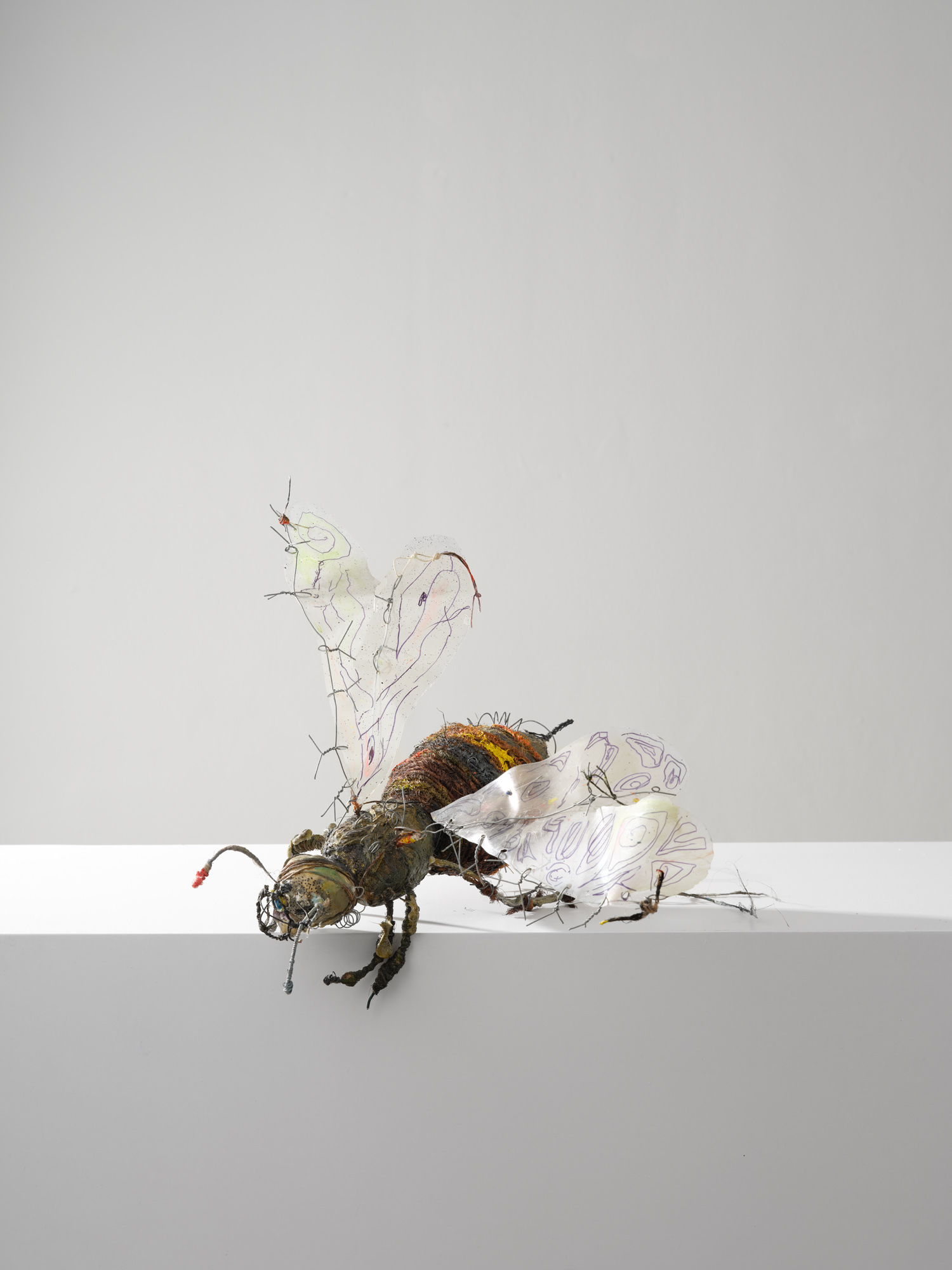 Adam Žufníček - BEE, 2025