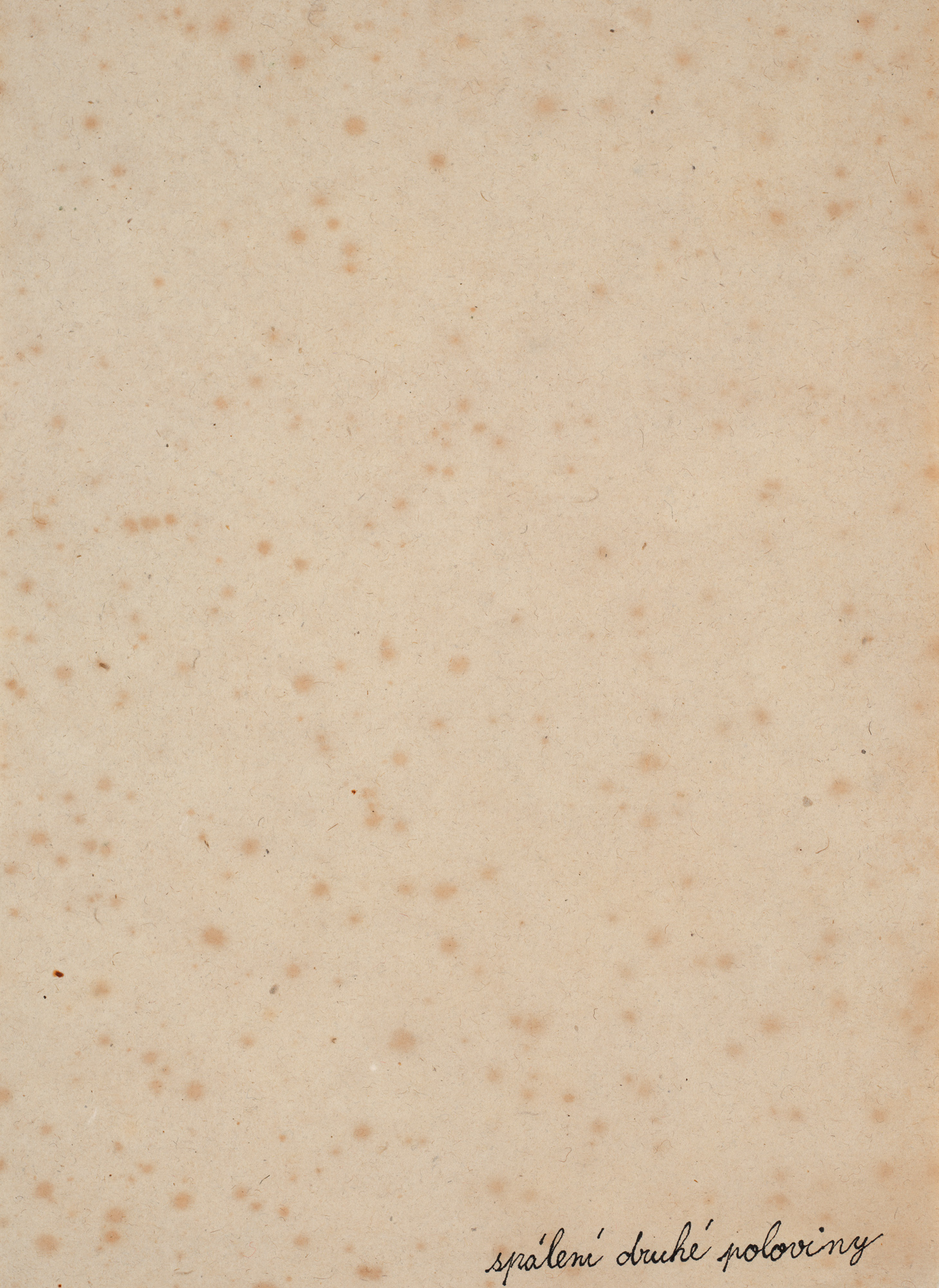 Marian Palla - SPÁLENÍ DRUHÉ POLOVINY, 2. POL. 70. LET