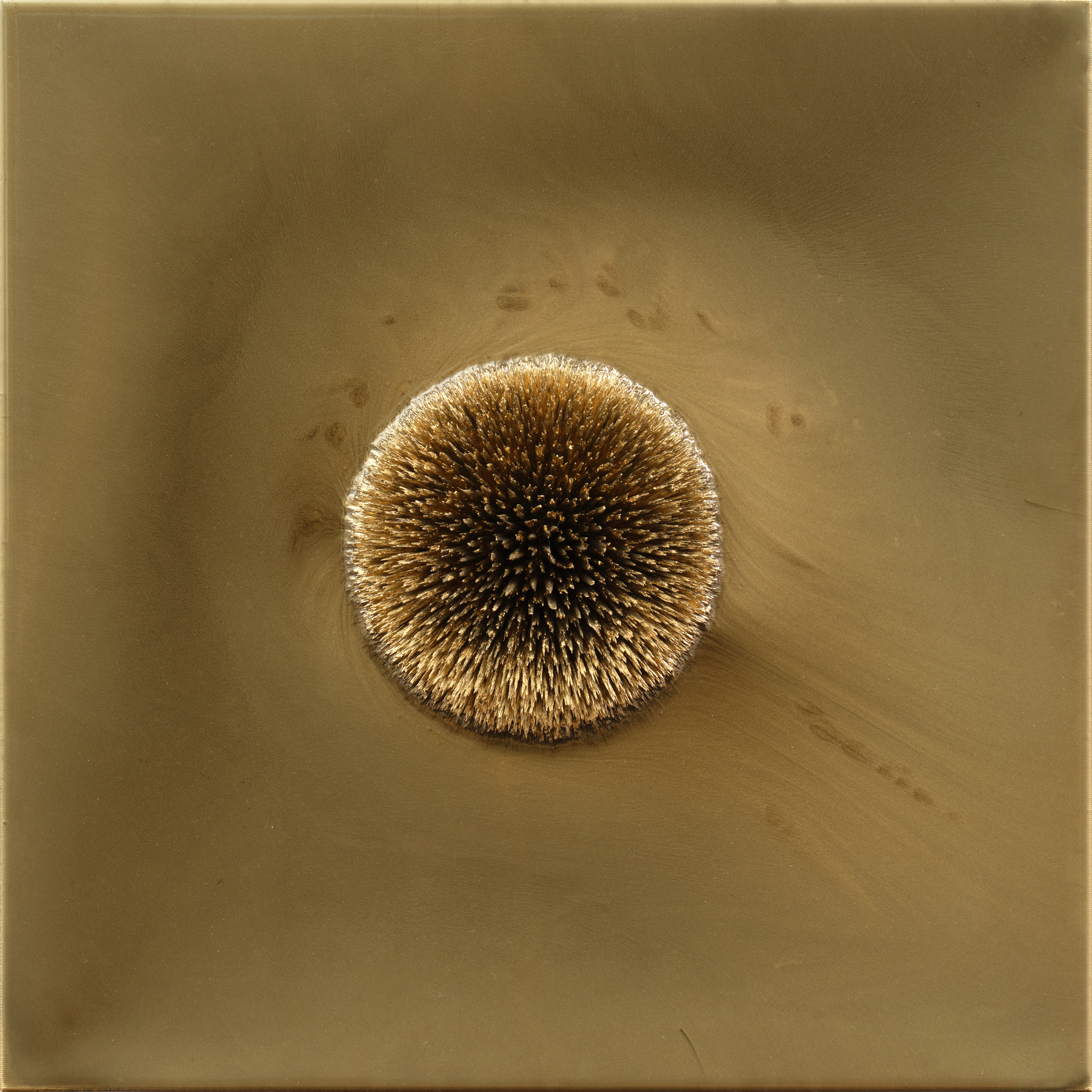 Milan Houser - BEZ NÁZVU, 2024 - BENEFIČNÍ AUKCE PRO DŮM PRO JULII