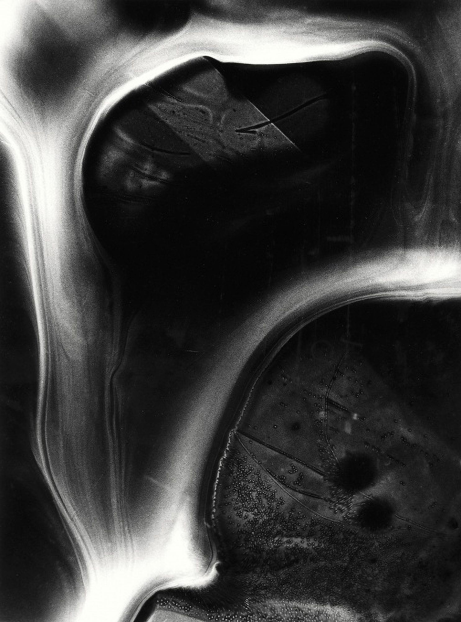 MILOŠ KOREČEK - HLAVA, 1974