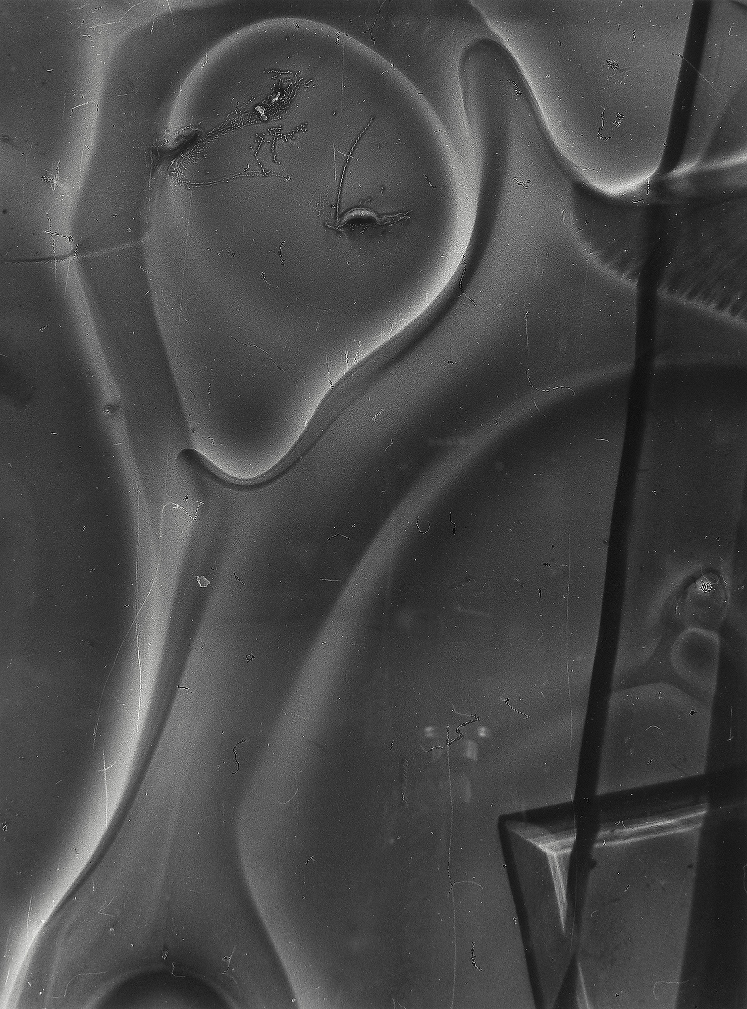 MILOŠ KOREČEK - ZA IX., 1974