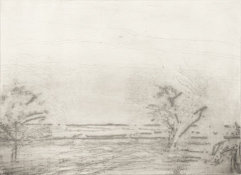 Alena Kučerová - STROMY NA LOUCE, 1985