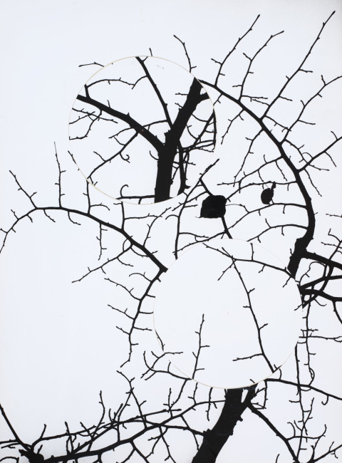 Dalibor Chatrný - INTERPRETACE FOTOGRAFIE – PŘESUNEM, 1973