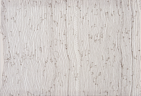 DANIELA MIKULÁŠKOVÁ - POLE, 2011