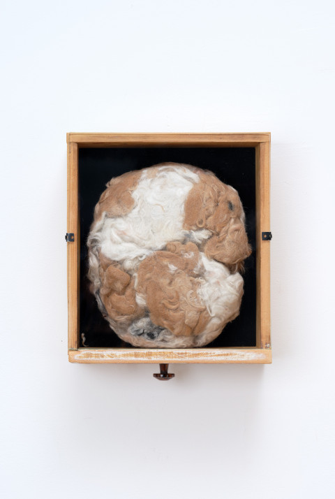 DITA PEPE - RAUNZERICH, Z CYKLU NĚCO Z HRANIC LÁSKY, 2026