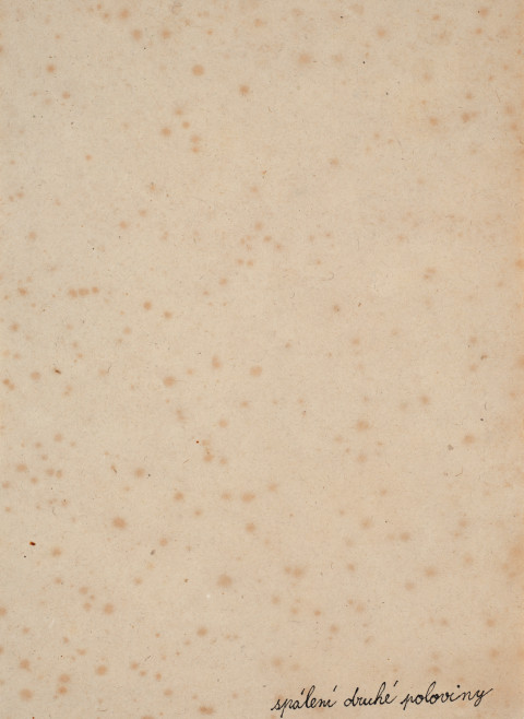 Marian Palla - SPÁLENÍ DRUHÉ POLOVINY, 2. POL. 70. LET