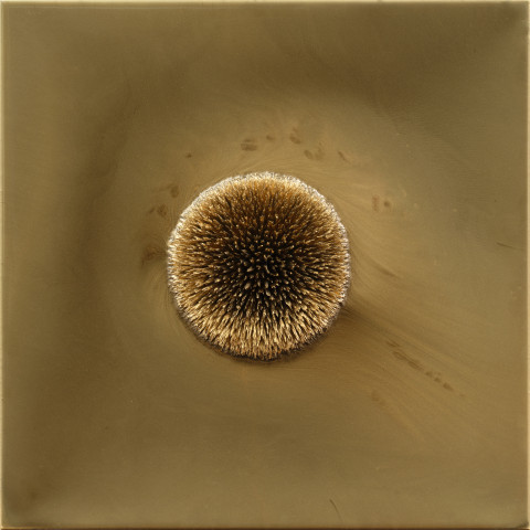 Milan Houser - BEZ NÁZVU, 2024 - BENEFIČNÍ AUKCE PRO DŮM PRO JULII