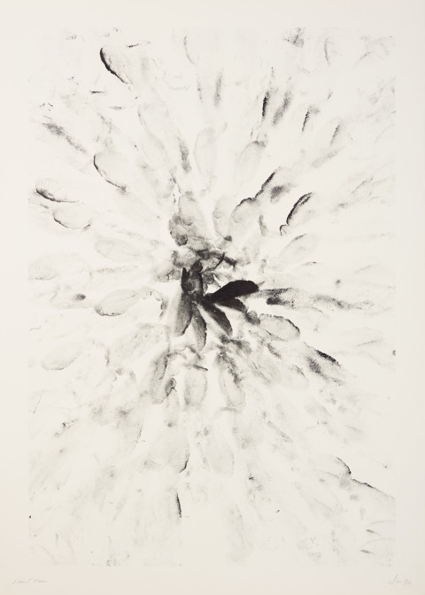 MILAN LASOTA - ZDÁNÍ DAVU, 1990