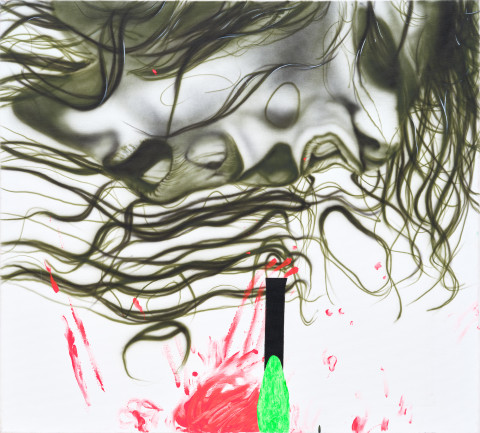 TOMÁŠ LAHODA - NARCISSE, 2008