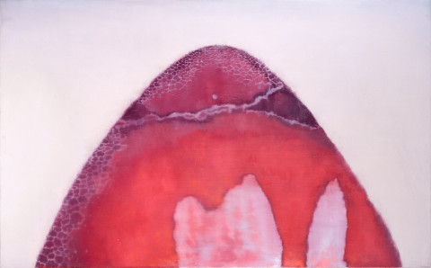 MILOŠ ŠEVČÍK - CO?, 2003